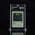 Yellow-Crested Helmetshrike - TAG 10 GEM MINT | Life TCG | Birds | Holo