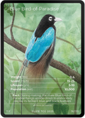 Blue Bird-of-Paradise — Birds Full Art #36/130 | LIFE TCG | 1st Edition (Pop: 1,000)