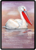 Dalmatian Pelican — Birds Full Art #42/130 | LIFE TCG | 1st Edition (Pop: 1,200)