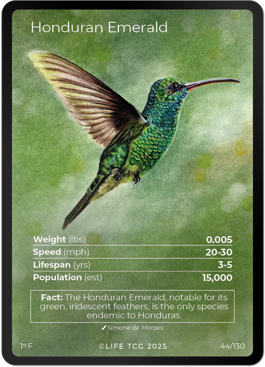 Honduran Emerald — Birds Full Art #44/130 | LIFE TCG | 1st Edition (Pop: 1,500)