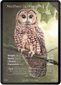 Northern Spotted Owl — Birds Full Art #43/130 | LIFE TCG | 1st Edition (Pop: 1,500)