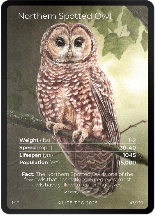 Northern Spotted Owl — Birds Full Art #43/130 | LIFE TCG | 1st Edition (Pop: 1,500)