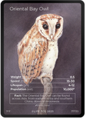 Oriental Bay Owl — Birds Full Art #37/130 | LIFE TCG | 1st Edition (Pop: 1,000)