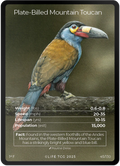 Plate-Billed Mountain Toucan — Birds Full Art #45/130 | LIFE TCG | 1st Edition (Pop: 1,500)
