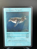 Galapagos Penguin — Birds Holo #22/130 | LIFE TCG | 1st Edition (Pop: 2,000) (front)