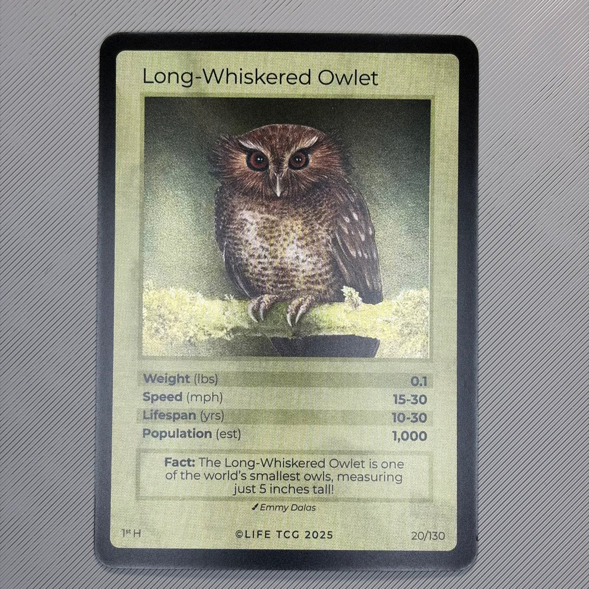 Long-Whiskered Owlet — Birds Holo #20/130 | LIFE TCG | 1st Edition (Pop: 1,000) (front)