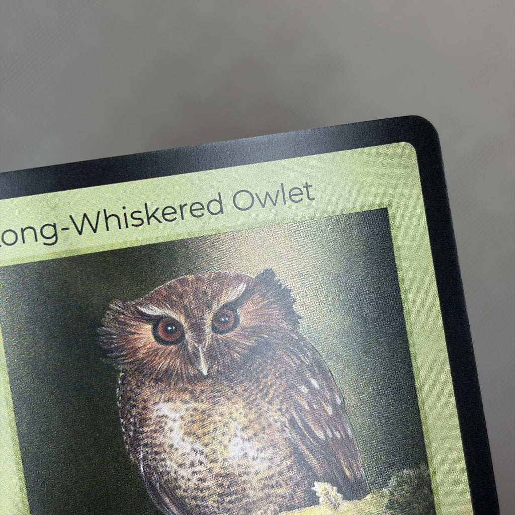 Long-Whiskered Owlet — Birds Holo #20/130 | LIFE TCG | 1st Edition (Pop: 1,000) (photo 3)