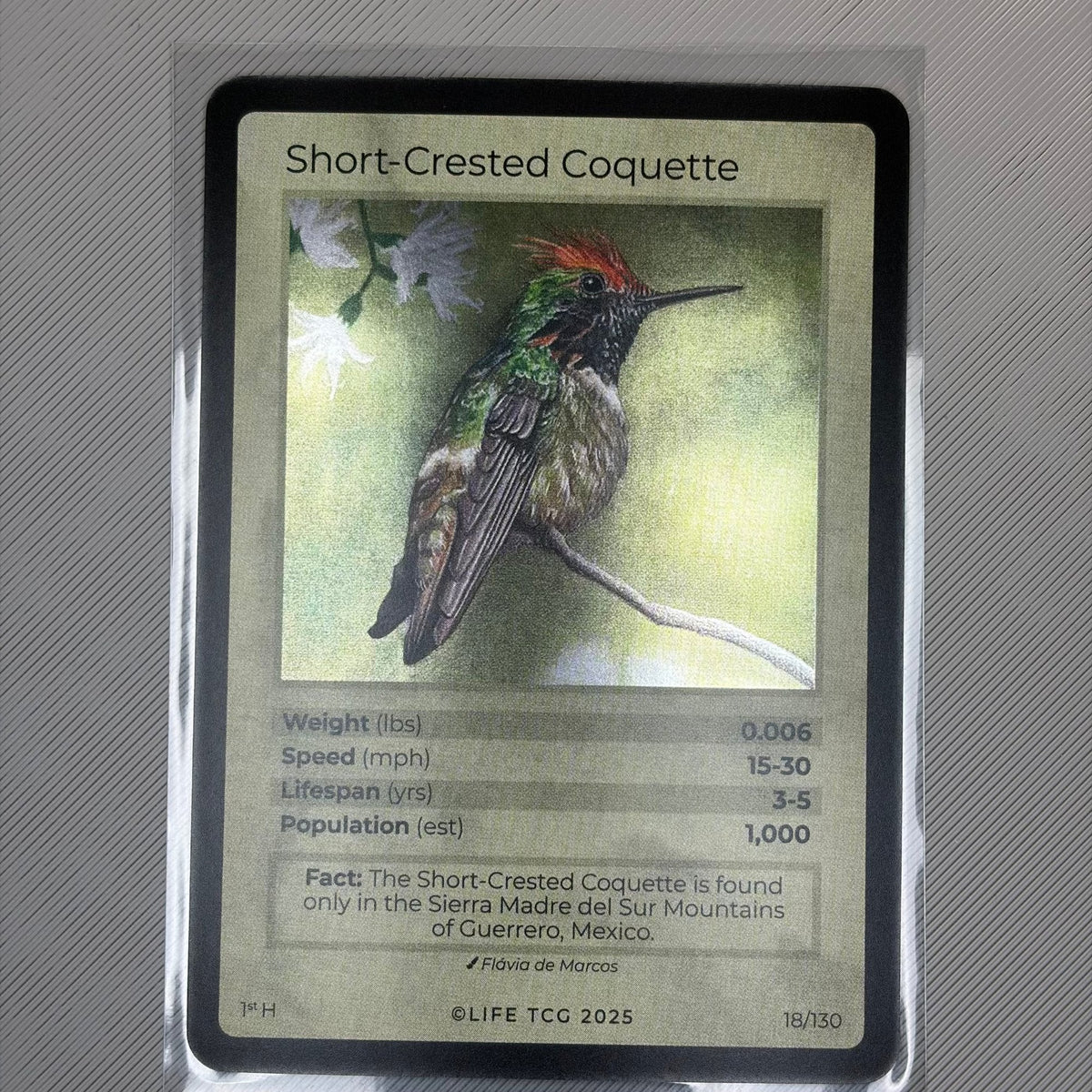 Short-Crested Coquette — Birds Holo #18/130 | LIFE TCG | 1st Edition (Pop: 1,000) (front)