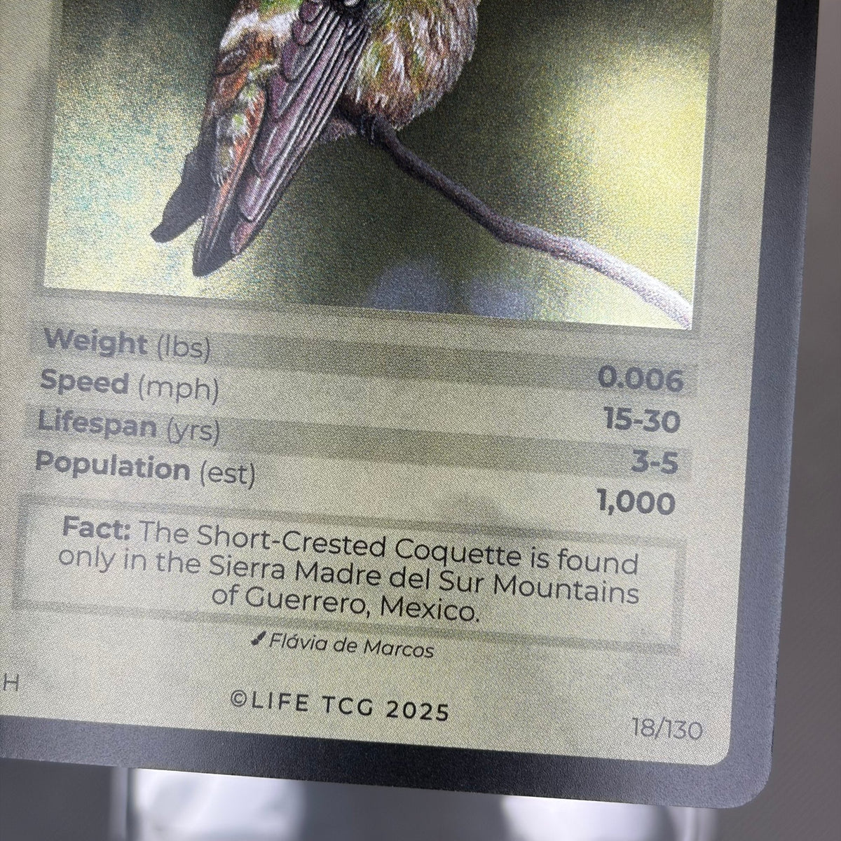 Short-Crested Coquette — Birds Holo #18/130 | LIFE TCG | 1st Edition (Pop: 1,000) (photo 5)