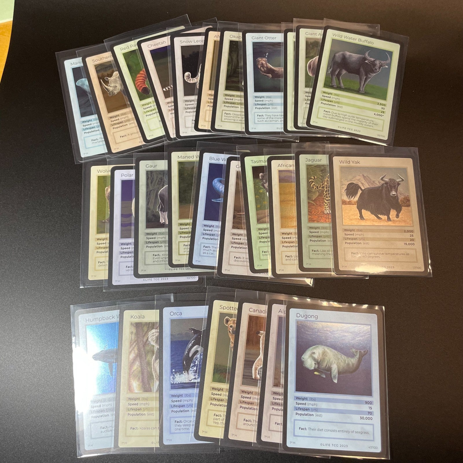 LIFE TCG 1st Edition Mammals Holo Lot — 28 Cards | All High Pop (4,000+ printed)
