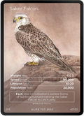 Saker Falcon — Birds Full Art #47/130 | LIFE TCG | 1st Edition (Pop: 2,000)