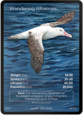 Wandering Albatross — Birds Full Art #48/130 | LIFE TCG | 1st Edition (Pop: 2,500)