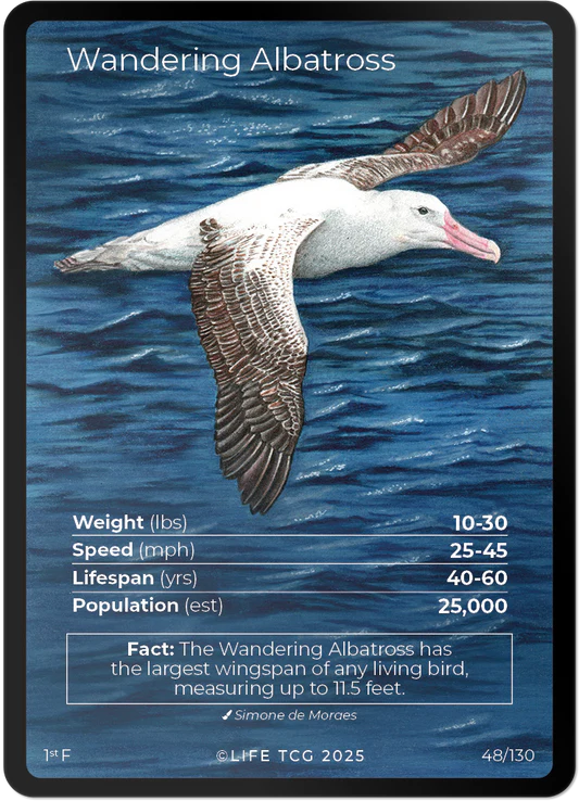 Wandering Albatross — Birds Full Art #48/130 | LIFE TCG | 1st Edition (Pop: 2,500)