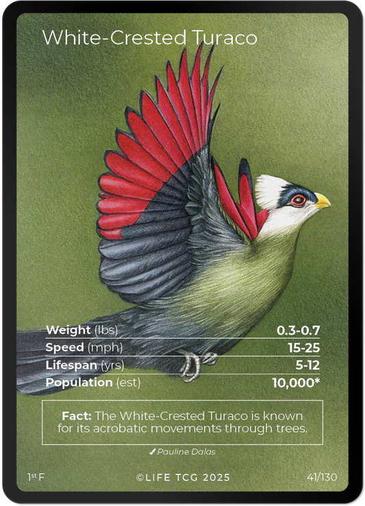 White-Crested Turaco — Birds Full Art #41/130 | LIFE TCG | 1st Edition (Pop: 1,000)